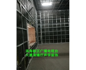 濱海廣電噪音治理